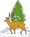 Deer Clipart