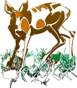 Deer Clipart