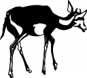 Deer Clipart