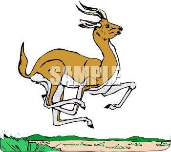 Antelope Clipart