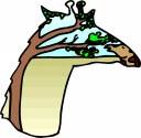 Animal Clipart