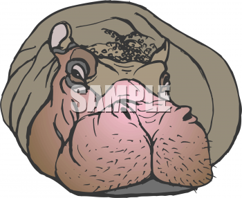 Animal Clipart