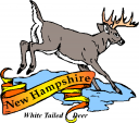 Deer Clipart