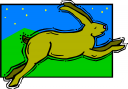 Pet Clipart