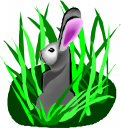 Pet Clipart