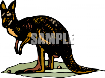 Marsupial Clipart