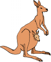 Marsupial Clipart