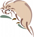 Rodent Clipart