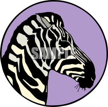 free clip art zebra. Royalty Free Equine Clipart