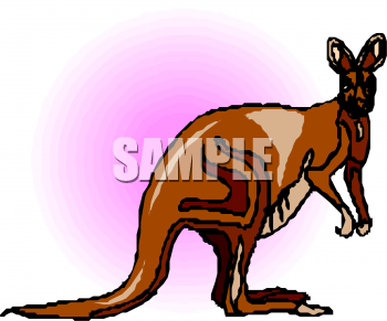 Marsupial Clipart