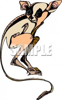 Marsupial Clipart
