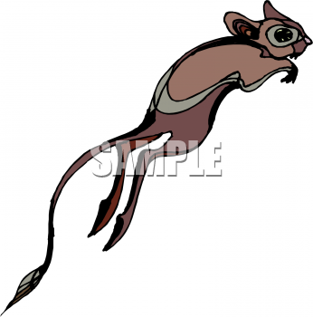 Marsupial Clipart