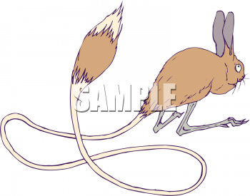Marsupial Clipart