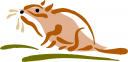 Rodent Clipart