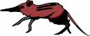Rodent Clipart