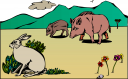 Mammal Clipart