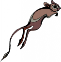Rodent Clipart