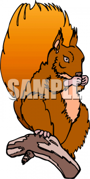 Rodent Clipart