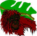 Primate Clipart