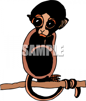 Primate Clipart