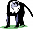 Primate Clipart