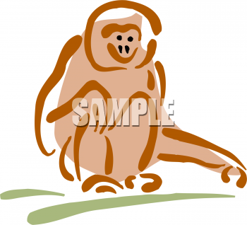Primate Clipart