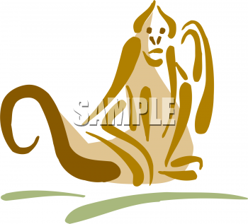 Primate Clipart