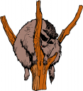 Mammal Clipart