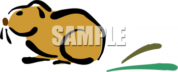 Pet Clipart