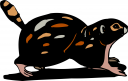 Pet Clipart