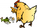 Amphibians Clipart
