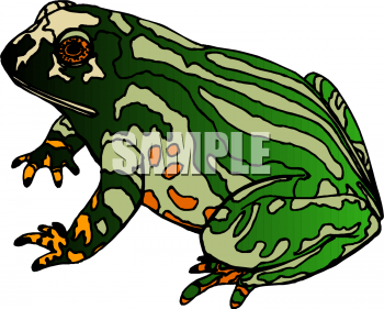 Amphibians Clipart