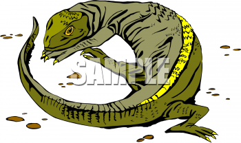 Reptile Clipart