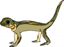 Amphibians Clipart