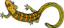 Reptile Clipart