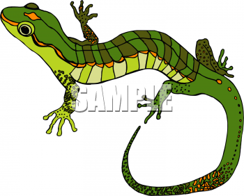 Amphibians Clipart