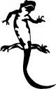 Amphibians Clipart