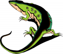 Amphibians Clipart