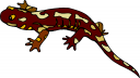 Reptile Clipart