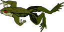 Amphibians Clipart