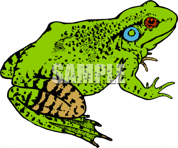Amphibians Clipart