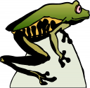 Amphibians Clipart