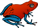 Amphibians Clipart