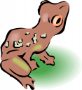 Amphibians Clipart