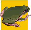 Amphibians Clipart