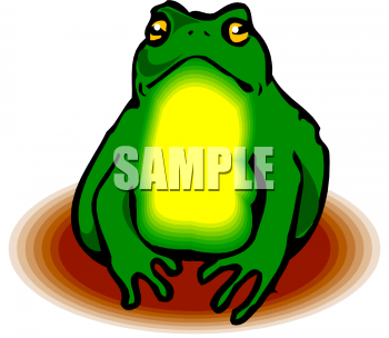 Amphibians Clipart