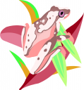 Amphibians Clipart
