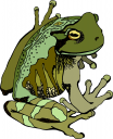 Amphibians Clipart
