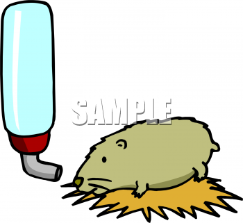 Pet Clipart