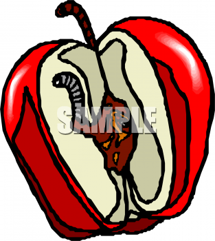 Invertebrates Clipart